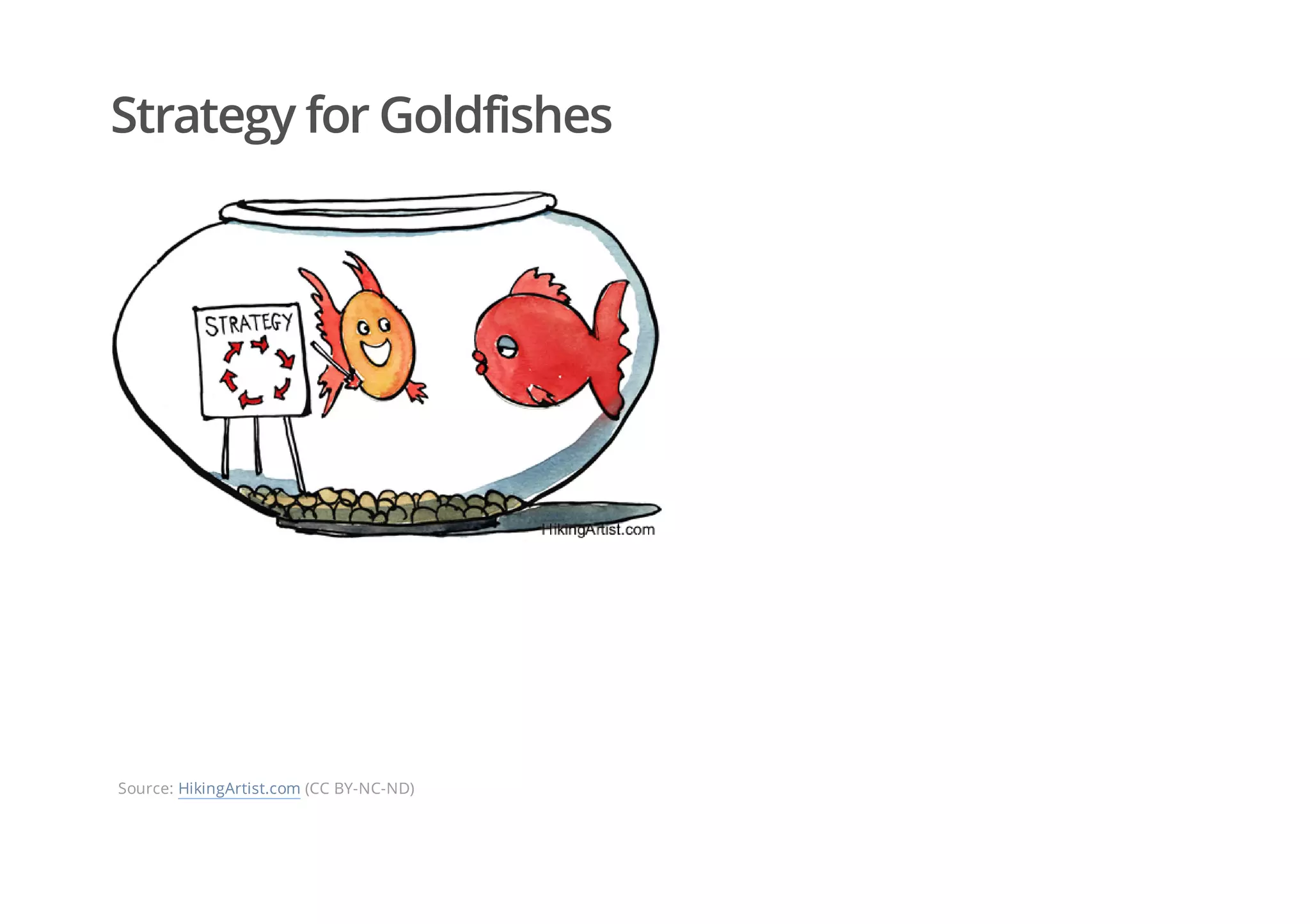 Strategy for Goldfishes
Source: HikingArtist.com (CC BY-NC-ND)
 