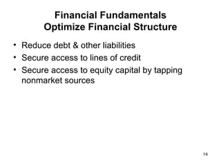 Financial Fundamentals Optimize Financial Structure Reduce debt & other liabilities Secure access to lines of credit Secure access to equity capital by tapping nonmarket sources 