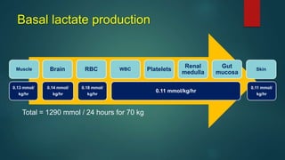 Basal lactate production
Muscle Brain RBC WBC Platelets
Renal
medulla
Gut
mucosa
Skin
0.13 mmol/
kg/hr
0.14 mmol/
kg/hr
0.18 mmol/
kg/hr
0.11 mmol/kg/hr
0.11 mmol/
kg/hr
Total = 1290 mmol / 24 hours for 70 kg
 