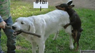 #fai
l
@OptimiseOrDie
 