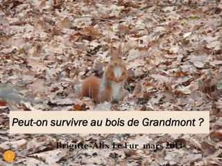 Peut-on survivre au bois de Grandmont ?

            Brigitte-Alix Le Fur mars 2011
1
 