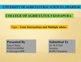 UNIVERSITY OF AGRICULTURAL SCIENCES, DHARWAD
COLLEGE OF AGRICULTUE,VIJAYAPURA
Topic : Gene Interactions and Multiple alleles
Presented By
Surya Charan
PGS22AGR9086
Jr Msc(agri) GPB
Submitted To
Dr. M D Patil
Scientist
RARS,Vijayapura
 