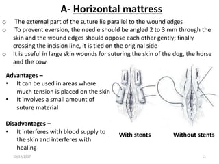 A- Horizontal mattress
o The external part of the suture lie parallel to the wound edges
o To prevent eversion, the needle should be angled 2 to 3 mm through the
skin and the wound edges should oppose each other gently; finally
crossing the incision line, it is tied on the original side
o It is useful in large skin wounds for suturing the skin of the dog, the horse
and the cow
Advantages –
• It can be used in areas where
much tension is placed on the skin
• It involves a small amount of
suture material
Disadvantages –
• It interferes with blood supply to
the skin and interferes with
healing
With stents Without stents
10/14/2017 11
 