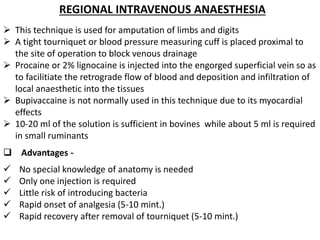 REGIONAL INTRAVENOUS ANAESTHESIA
 This technique is used for amputation of limbs and digits
 A tight tourniquet or blood pressure measuring cuff is placed proximal to
the site of operation to block venous drainage
 Procaine or 2% lignocaine is injected into the engorged superficial vein so as
to facilitiate the retrograde flow of blood and deposition and infiltration of
local anaesthetic into the tissues
 Bupivaccaine is not normally used in this technique due to its myocardial
effects
 10-20 ml of the solution is sufficient in bovines while about 5 ml is required
in small ruminants
 Advantages -
 No special knowledge of anatomy is needed
 Only one injection is required
 Little risk of introducing bacteria
 Rapid onset of analgesia (5-10 mint.)
 Rapid recovery after removal of tourniquet (5-10 mint.)
 