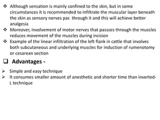  Although sensation is mainly confined to the skin, but in some
circumstances it is recommended to infiltrate the muscular layer beneath
the skin as sensory nerves pas through it and this will achieve better
analgesia
 Moreover, involvement of motor nerves that passses through the muscles
reduces movement of the muscles during incision
 Example of the linear infiltration of the left flank in cattle that involves
both subcutaneous and underlying muscles for induction of rumenotomy
or cesarean section
 Advantages -
 Simple and easy technique
 It consumes smaller amount of anesthetic and shorter time than inverted-
L technique
 