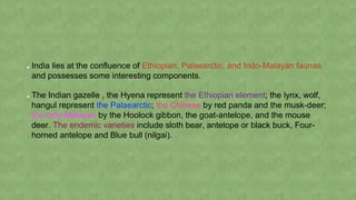 Megadiversity-INDIA | PPT | Free Download