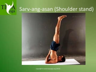 Sarv-ang-asan (Shoulder stand)

copyright to www.tiyayoga.org (2013)

 