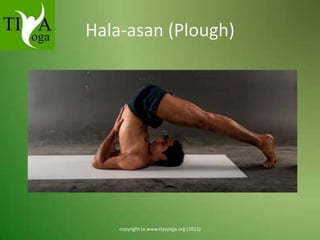 Hala-asan (Plough)

copyright to www.tiyayoga.org (2013)

 