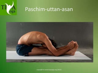 Paschim-uttan-asan

copyright to www.tiyayoga.org (2013)

 