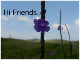 Hi Friends..
Snap By, $URYA
 