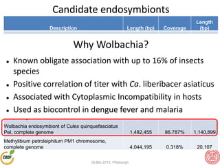 Candidate endosymbionts
Description Length (bp) Coverage
Length
(bp)
Klebsiella variicola At-22 chromosome, complete
genome 5,458,505 1.144% 307,111
Salmonella enterica subsp. enterica serovar Typhi str.
Ty2 chromosome, complete genome 4,791,961 1.266% 464,747
Staphylococcus epidermidis ATCC 12228
chromosome, complete genome 2,499,279 3.077% 60,415
Acidovorax avenae subsp. avenae ATCC 19860
chromosome, complete genome 5,482,170 0.473% 71,218
Acinetobacter sp. DR1 chromosome,complete
genome 4,152,543 2.763% 102,446
Herbaspirillum seropedicae SmR1 chromosome,
complete genome 5,513,887 0.949% 23,509
Wolbachia endosymbiont of Culex quinquefasciatus
Pel, complete genome 1,482,455 86.787% 1,140,899
Methylibium petroleiphilum PM1 chromosome,
complete genome 4,044,195 0.318% 20,107
Why Wolbachia?
 Known obligate association with up to 16% of insects
species
 Positive correlation of titer with Ca. liberibacer asiaticus
 Associated with Cytoplasmic Incompatibility in hosts
 Used as biocontrol in dengue fever and malaria
GLBio 2013, Pittsburgh
 