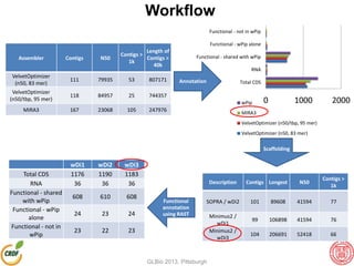 Assembler Contigs N50
Contigs >
1k
Length of
Contigs >
40k
VelvetOptimizer
(n50, 83 mer)
111 79935 53 807171
VelvetOptimizer
(n50/tbp, 95 mer)
118 84957 25 744357
MIRA3 167 23068 105 247976
Annotation
0 1000 2000
Total CDS
RNA
Functional - shared with wPip
Functional - wPip alone
Functional - not in wPip
wPip
MIRA3
VelvetOptimizer (n50/tbp, 95 mer)
VelvetOptimizer (n50, 83 mer)
Scaffolding
Description Contigs Longest N50
Contigs >
1k
SOPRA / wDi2 101 89608 41594 77
Minimus2 /
wDi1
99 106898 41594 76
Minimus2 /
wDi3
104 206691 52418 66
Workflow
wDi1 wDi2 wDi3
Total CDS 1176 1190 1183
RNA 36 36 36
Functional - shared
with wPip
608 610 608
Functional - wPip
alone
24 23 24
Functional - not in
wPip
23 22 23
Functional
annotation
using RAST
GLBio 2013, Pittsburgh
 