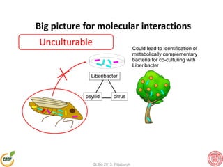 Liberibacter
psyllid citrus
Big picture for molecular interactions
Could lead to identification of
metabolically complementary
bacteria for co-culturing with
Liberibacter
Unculturable
GLBio 2013, Pittsburgh
 