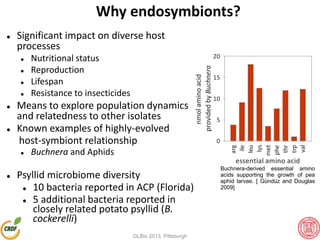 Why endosymbionts?
 Significant impact on diverse host
processes
 Nutritional status
 Reproduction
 Lifespan
 Resistance to insecticides
 Means to explore population dynamics
and relatedness to other isolates
 Known examples of highly-evolved
host-symbiont relationship
 Buchnera and Aphids
 Psyllid microbiome diversity
 10 bacteria reported in ACP (Florida)
 5 additional bacteria reported in
closely related potato psyllid (B.
cockerelli)
Buchnera-derived essential amino
acids supporting the growth of pea
aphid larvae. [ Gündüz and Douglas
2009]
GLBio 2013, Pittsburgh
 