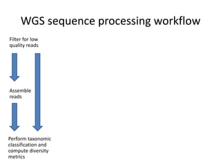 WGS sequence processing workflow
Filter for low
quality reads
Assemble
reads
Perform taxonomic
classification and
compute diversity
metrics
 
