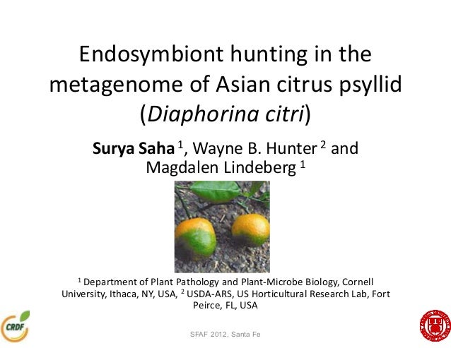 endosymbiont hunting in the