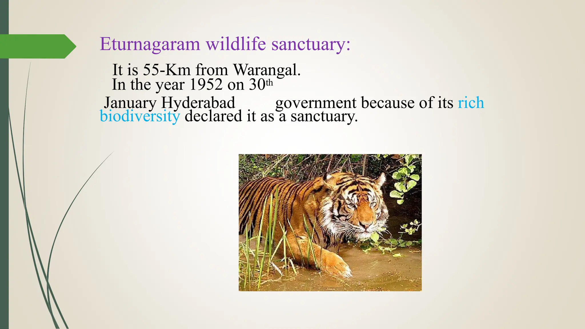 Eturnagaram wildlife sanctuary:
It is 55-Km from Warangal.
In the year 1952 on 30th
January Hyderabad government because of its rich
biodiversity declared it as a sanctuary.
 