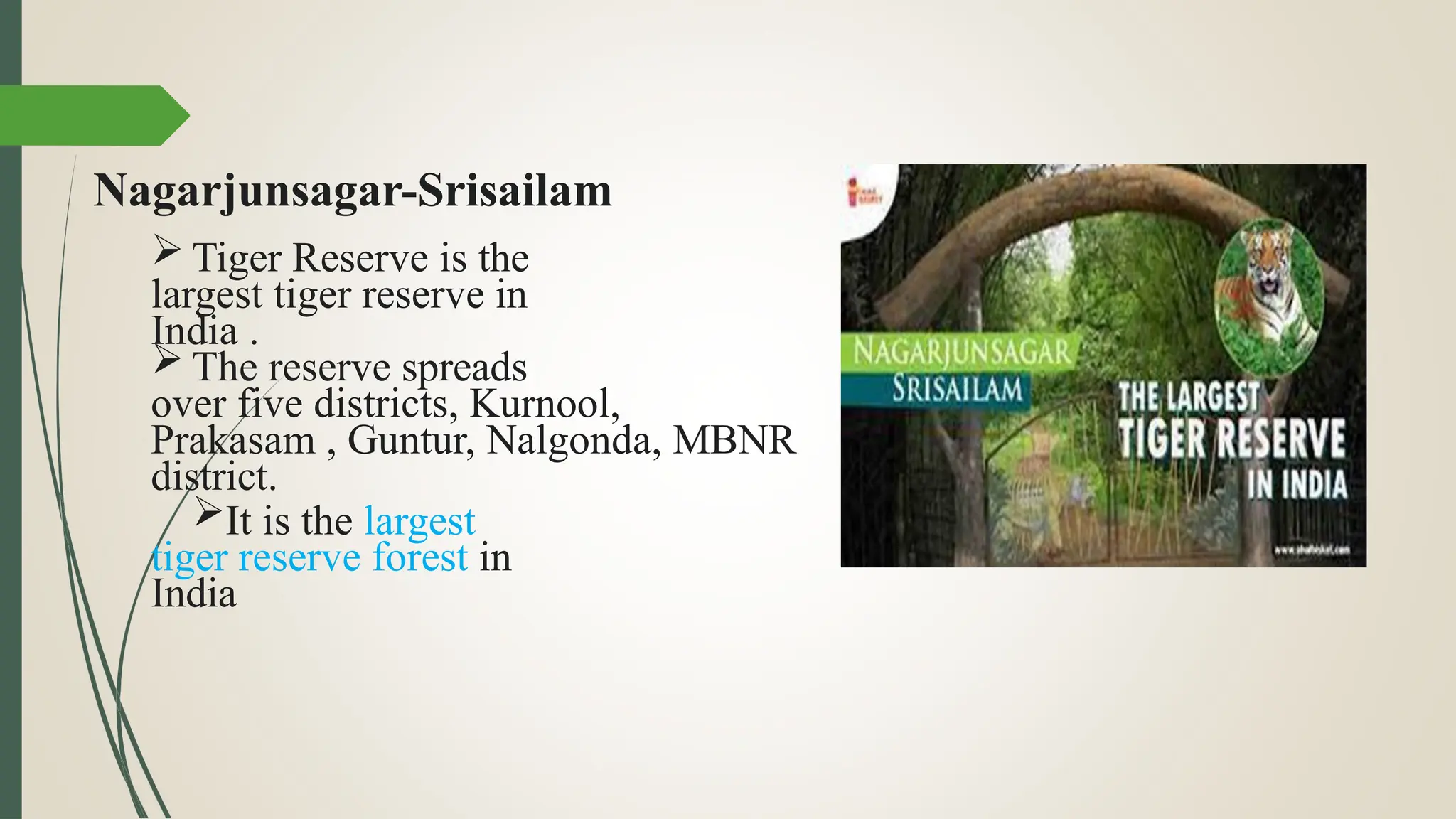 Nagarjunsagar-Srisailam
 Tiger Reserve is the
largest tiger reserve in
India .
 The reserve spreads
over five districts, Kurnool,
Prakasam , Guntur, Nalgonda, MBNR
district.
It is the largest
tiger reserve forest in
India
 