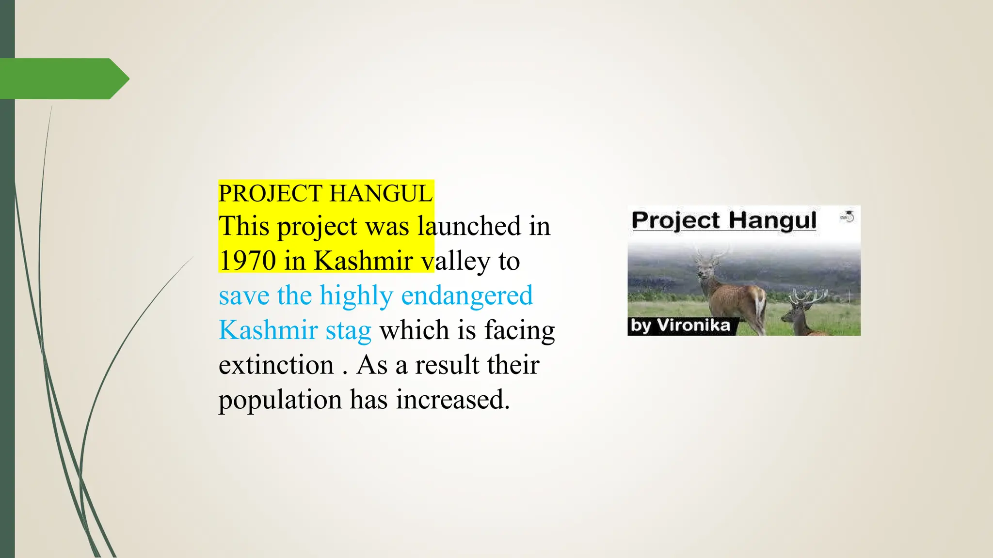 PROJECT HANGUL
This project was launched in
1970 in Kashmir valley to
save the highly endangered
Kashmir stag which is facing
extinction . As a result their
population has increased.
 