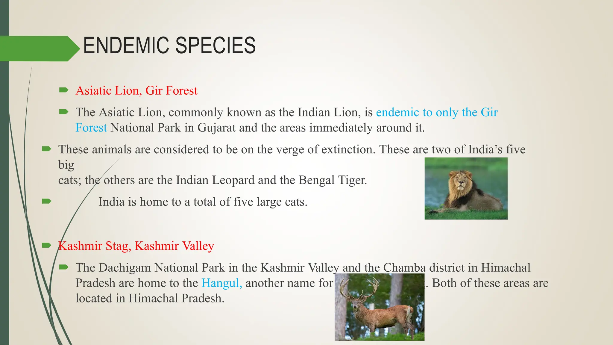 ENDEMIC SPECIES
 Asiatic Lion, Gir Forest
 The Asiatic Lion, commonly known as the Indian Lion, is endemic to only the Gir
Forest National Park in Gujarat and the areas immediately around it.
 These animals are considered to be on the verge of extinction. These are two of India’s five
big
cats; the others are the Indian Leopard and the Bengal Tiger.
 India is home to a total of five large cats.
 Kashmir Stag, Kashmir Valley
 The Dachigam National Park in the Kashmir Valley and the Chamba district in Himachal
Pradesh are home to the Hangul, another name for the Kashmir Stag. Both of these areas are
located in Himachal Pradesh.
 