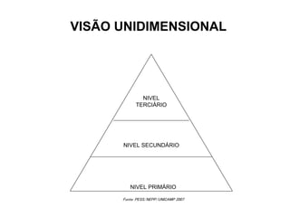 VISÃO UNIDIMENSIONAL
NIVEL SECUNDÁRIO
NIVEL PRIMÁRIO
NIVEL
TERCIÁRIO
NIVEL SECUNDÁRIO
NIVEL PRIMÁRIO
NIVEL
TERCIÁRIO
Fonte: PESS/NEPP/UNICAMP 2007
 