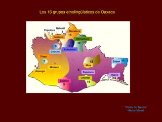 Los 16 grupos etnolingüísticos de Oaxaca
“Como de Treinta”
Héctor Martel
 