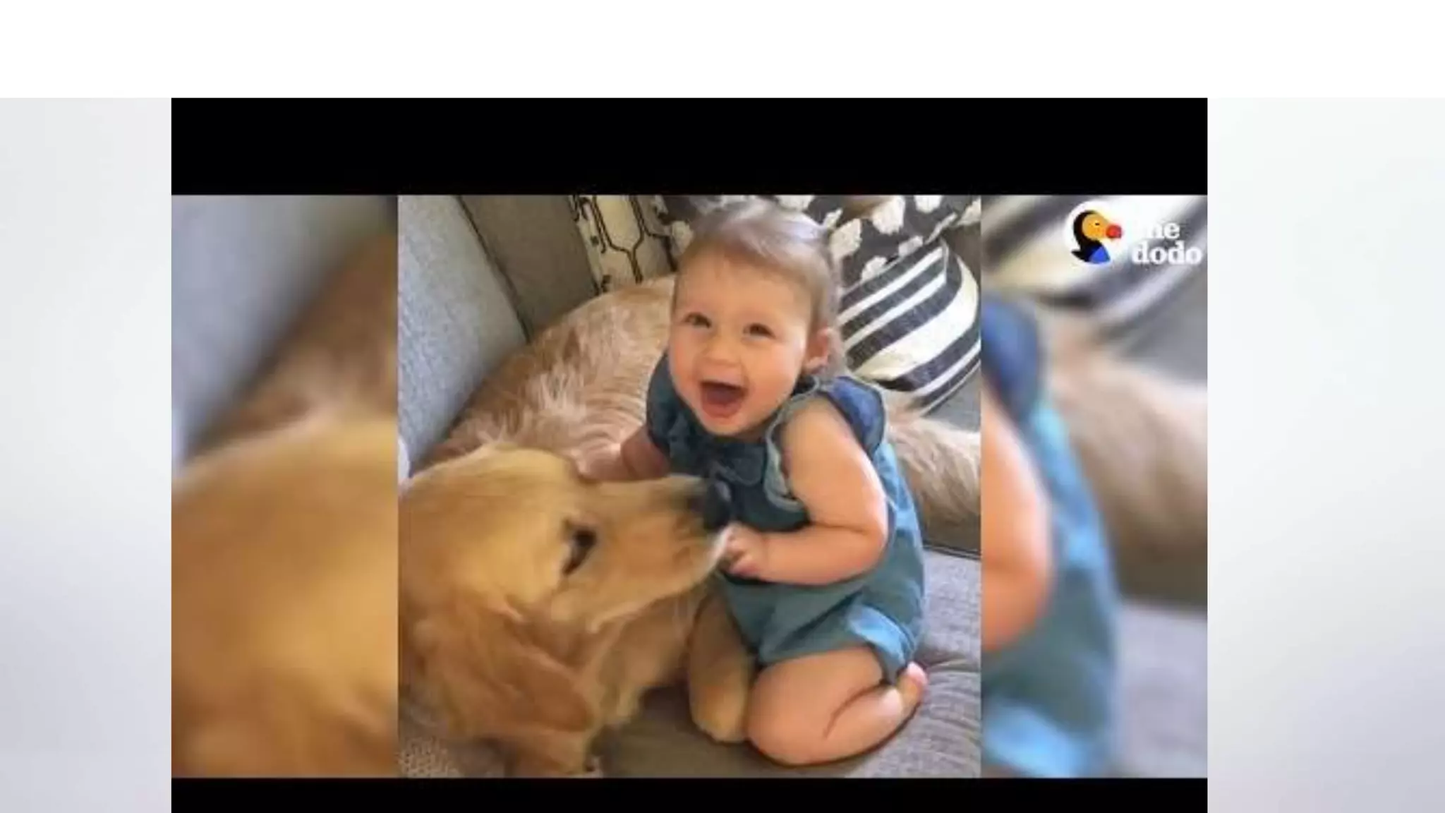 The Dodo Site, Cute Kids and Animals: 8.4 million total interactions
 