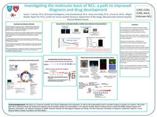 CLN2,	
  CLN3,	
  
CLN6,	
  Adult,	
  
Unknown	
  NCL	
  
Inves7ga7ng	
  the	
  molecular	
  basis	
  of	
  NCL:	
  a	
  path	
  to	
  improved	
  
diagnosis	
  and	
  drug	
  development	
  
Susan	
  L.	
  Cotman,	
  Ph.D.	
  (Principal	
  Inves7gator),	
  Uma	
  Chandrachud,	
  Ph.D.,	
  Anna-­‐Lena	
  Hillje,	
  Ph.D.,	
  Ursula	
  Ilo,	
  M.Sci.,	
  Abigail	
  
Nowell,	
  Hyejin	
  Oh,	
  Ph.D.,	
  Center	
  for	
  Human	
  Gene7c	
  Research,	
  Department	
  of	
  Neurology,	
  MassachuseQs	
  General	
  Hospital,	
  
Harvard	
  Medical	
  School	
  
Introduc)on	
  and	
  Laboratory	
  Objec)ves	
  
! 	
  DNA	
  muta7ons	
  in	
  one	
  of	
  at	
  least	
  13	
  diﬀerent	
  genes	
  lead	
  to	
  the	
  
clinical	
  symptoms	
  of	
  BaQen	
  disease,	
  or	
  NCL	
  (for	
  neuronal	
  ceroid	
  
lipofuscinosis).	
  In	
  some	
  cases,	
  iden7fying	
  the	
  gene7c	
  cause	
  of	
  
disease	
  remains	
  a	
  signiﬁcant	
  challenge.	
  	
  
! In	
  many	
  forms	
  of	
  NCL,	
  how	
  the	
  DNA	
  muta7ons	
  lead	
  to	
  the	
  disrupted	
  
cellular	
  processes	
  is	
  not	
  yet	
  completely	
  understood.	
  It	
  is	
  also	
  s7ll	
  not	
  
well	
  understood	
  which	
  disrupted	
  processes	
  lead	
  to	
  the	
  disease	
  
symptoms.	
  
! 	
  Understanding	
  the	
  steps	
  in	
  the	
  disease	
  process,	
  from	
  gene7c	
  
trigger	
  (DNA	
  muta7on)	
  to	
  clinical	
  onset	
  and	
  progression,	
  is	
  important	
  
for	
  designing	
  therapies.	
  	
  
! 	
  Our	
  laboratory	
  uses	
  gene7c	
  model	
  organisms	
  as	
  well	
  as	
  human	
  cell	
  
culture	
  systems	
  to	
  formulate	
  and	
  test	
  hypotheses	
  regarding	
  the	
  NCL	
  
disease	
  process.	
  	
  
! We	
  also	
  par7cipate	
  in	
  collabora7ve	
  eﬀorts	
  to	
  improve	
  the	
  methods	
  
for	
  iden7fying	
  the	
  DNA	
  muta7ons	
  and	
  to	
  further	
  improve	
  the	
  
availability	
  of	
  pa7ent	
  samples.
	
  
Conclusions	
  
	
  
! The	
  increasingly	
  well	
  characterized	
  disease	
  models	
  
that	
  now	
  exist,	
  which	
  recapitulate	
  NCL	
  DNA	
  muta7ons,	
  
are	
  contribu7ng	
  to	
  important	
  advances	
  in	
  our	
  
understanding	
  of	
  the	
  molecular	
  basis	
  of	
  the	
  NCLs	
  
	
  
! Research	
  with	
  these	
  model	
  systems	
  is	
  leading	
  to	
  new	
  
candidate	
  drug	
  targets	
  that	
  are	
  currently	
  being	
  studied	
  
for	
  drug	
  development	
  
! Screening	
  of	
  drug	
  libraries	
  is	
  iden7fying	
  new	
  
informa7on	
  and	
  new	
  candidate	
  drugs/drug	
  targets	
  
	
  
! Our	
  understanding	
  of	
  the	
  func7ons	
  of	
  the	
  NCL	
  
proteins	
  is	
  increasing,	
  which	
  will	
  lead	
  to	
  beQer	
  targeted	
  
therapies	
  and	
  biomarker	
  tools	
  for	
  monitoring	
  treatment	
  	
  
! New	
  methods	
  for	
  determining	
  the	
  underlying	
  NCL	
  DNA	
  
muta7ons	
  are	
  leading	
  to	
  an	
  increasing	
  awareness	
  of	
  
shared	
  disease	
  biology	
  with	
  other	
  forms	
  of	
  human	
  
disease	
  and	
  in	
  a	
  greater	
  apprecia7on	
  of	
  how	
  muta7ons	
  
in	
  NCL	
  genes	
  aﬀect	
  human	
  health	
  more	
  broadly.	
  This	
  
knowledge	
  will	
  increase	
  awareness	
  and	
  correctly	
  
iden7fy	
  more	
  pa7ents	
  and	
  the	
  underlying	
  genes	
  causing	
  
their	
  disease	
  
! There	
  is	
  an	
  increasing	
  u7liza7on	
  of	
  pa7ent	
  samples	
  
linked	
  to	
  gene7c	
  and	
  clinical	
  informa7on	
  and	
  a	
  greater	
  
eﬀort	
  to	
  deepen	
  this	
  important	
  resource	
  
	
  
	
  
Acknowledgements: We thank our numerous scientific and clinical collaborators and supporters, as well as the organizations who’ve provided funding to support our research. We would
also like to expressly thank the families and patients who’ve donated samples and participated in our research studies. Recent funding sources include the Batten Disease Support and
Research Association, the National Institutes of Health: National Institute for Neurological Diseases and Stroke, the MGH Executive Committee on Research, Catherine’s Hope for a Cure,
Beyond Batten Disease Foundation and Beat Batten.
Drug	
  screening	
  in	
  a	
  CLN3	
  model	
  iden)ﬁes	
  a	
  candidate	
  target	
  pathway	
  for	
  therapy	
  development	
  
	
  
	
	
  
	
  
Facilita)ng	
  the	
  gene)c	
  research	
  cycle	
  for	
  all	
  forms	
  of	
  NCL
	
	
  
	
  
Conceptualiza)on	
  of	
  the	
  NCL	
  disease	
  process	
  
	
	
  
Model	
  systems	
  we	
  have	
  developed	
  and/or	
  use	
  for	
  NCL	
  research	
  
	
  
	
Gene7c	
  Studies	
  to	
  Iden7fy	
  
‘Unknowns’	
  and	
  Gene7c	
  
Modiﬁers	
  
• Next	
  Genera7on	
  
Sequencing	
  of	
  Whole	
  
Exomes/Genomes	
  
• Candidate	
  Gene	
  
Screening	
  
• Adult	
  NCL	
  Gene	
  
Discovery	
  Consor7um	
  
• Analy7c	
  and	
  
Transla7onal	
  Gene7cs	
  
Unit	
  of	
  MGH	
  (Dr.	
  Mark	
  
Daly,	
  Dr.	
  Daniel	
  
MacArthur)	
  
Mouse	
  models	
  and	
  cell	
  culture	
  models	
  	
  
	
  
•  Useful	
  in	
  iden7fying	
  	
  possible	
  early,	
  pre-­‐
clinical	
  symptoms	
  
•  Biomarkers	
  development	
  
•  Improved	
  descrip7on	
  of	
  the	
  disease	
  
process	
  
	
  
	
  
	
  
Screening	
  for	
  drugs	
  using	
  	
  
mouse	
  and	
  human	
  neuronal	
  
cells	
  
• Unbiased	
  screen	
  of	
  a	
  large	
  
drug	
  library	
  	
  
• Collabora7ng	
  partners	
  with	
  
other	
  academic	
  labs	
  and	
  
pharmaceu7cal/biotech	
  
companies	
  to	
  test	
  candidate	
  
treatments	
  
Systems	
  for	
  transla7on	
  of	
  ﬁndings	
  
to	
  human	
  pa7ents	
  
Fibroblasts	
  
Lymphoblasts	
  
**Human	
  induced	
  pluripotent	
  
stem	
  cells	
  (hiPS	
  cells)—can	
  be	
  
diﬀeren:ated	
  into	
  aﬀected	
  cell	
  
types,	
  like	
  neurons	
  and	
  glia	
  
MGH-­‐BaQen	
  Disease	
  Center	
  
(Dr.	
  Kathryn	
  Swoboda,	
  Dr.	
  
Winnie	
  Xin,)	
  
• MGH	
  Neurogene7cs	
  DNA	
  Lab	
  	
  
• NCL	
  Registry	
  and	
  Biorepository	
  
• Collabora7ve	
  eﬀorts	
  with	
  Dr.	
  
Jon	
  Mink	
  to	
  develop	
  merged,	
  
searchable	
  clinical	
  database	
  
linked	
  to	
  biorepository	
  samples	
  
Drug libraries (e.g. >2000
FDA-approved drugs)
Phenotypic brain
cell-based assays
are developed
Automated screen performed
Hits identified (e.g. potential
CLN3 drugs)
Follow-up studies to validate
and optimize leads
~2000 drugs screened
Candidate drugs that improve an abnormality
One class of drugs identified as hits targeted certain Ca2+ channels, which
prompted follow up studies on how CLN3 neurons handle Ca2+
Disease-modifying drugs; understanding these effects
can lead to new information about target pathways	
Elevated	
  lysosomal	
  Ca2+	
  in	
  cultured	
  CLN3	
  brain	
  cells	
  	
Drugs	
  that	
  lower	
  the	
  elevated	
  lysosomal	
  Ca2+	
  in	
  cultured	
  CLN3	
  brain	
  
cells	
  to	
  normal	
  levels	
  are	
  in	
  further	
  tes7ng	
  as	
  candidate	
  treatments	
  
(collabora7on	
  with	
  other	
  groups	
  including	
  Dr.	
  Emyr	
  Lloyd-­‐Evans)	
Cln3∆ex7/8 knock-in mice
• Genetic replica of the ~1-kb
deletion mutation most
frequently observed in CLN3
patients
• Cln6nclf mice
CbCln3∆ex7/8 and
CbCln6nclf mouse
neuronal precursor cells
Patient fibroblasts and
reprogrammed human induced
pluripotent stem (hiPS) cells
Can be turned into brain cells and
other relevant cell types
• Phenotyping
(characterizing abnormalities at
the cellular and whole
organism level)
• Disease modifier studies
(cell-based screening and mouse
modifier studies)
• Molecular analysis
(single gene and genomic level)
Potential modifiers:
Mitochondrial pathways
Intracellular Ca2+
Autophagy pathway modifiers
êAutophagy clearance
êendocytosis
êlysosomal protein trafficking
Mitochondrial changes
Subunit c
storage
Sensorimotor
processing affected
Gliosis
Motor function decline
Working
chronology of the
disease process in
NCL genetic
models
cln3 knockout Dictyostelium
discoideum
•  Social amoeba, single cell
stage to multicellular stage
developmental life cycle
•  Expression of human
CLN3 in the cln3- Dicty
cells rescues
abnormalities
demonstrating conserved
function across evolution
Conception
NCL gene status
Lifeline of a person with two NCL mutations
Clinical Diagnosis
End-stage
disease
Conception
NCL gene status
End-of-life
Lifeline of a person with at least one normal NCL gene
•  Different genetic or environmental modifiers could act at
different stages and affect the progression towards end-
stage disease.
•  Identifying these factors and then targeting them through
interventions/drugs (blue arrows) could slow or halt
further advancement of disease progression.
CLN3	
 