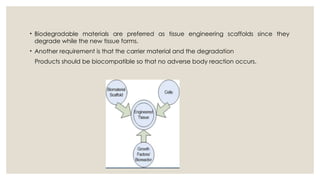 SUSAN FINAL PPT-1 tissue engineering.pptx