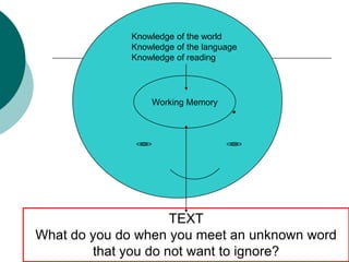 Knowledge of the worldKnowledge of the languageKnowledge of readingWorking MemoryTEXTWhat do you do when you meet an unknown word that you do not want to ignore?