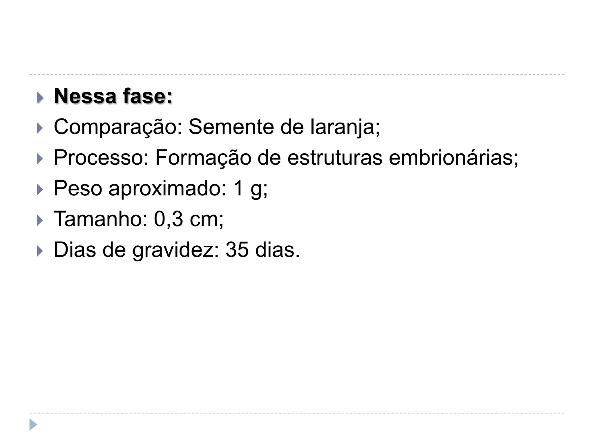  Nessa fase:
 Comparação: Semente de laranja;
 Processo: Formação de estruturas embrionárias;
 Peso aproximado: 1 g;
 Tamanho: 0,3 cm;
 Dias de gravidez: 35 dias.
 