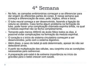 4ª Semana
 No feto, as camadas embrionárias começam a se diferenciar para
dar origem às diferentes partes do corpo. É nessa semana que
começa a diferenciação de osso, pele, órgãos, olhos e boca.
 O tubo neural começa a ser desenvolvido, fazendo a ligação da
coluna ao cérebro. Caso tenha algum problema na formação do
tubo, pode haver uma complicação chamada espinha bífida, na qual
a medula espinhal não se fecha completamente.
 Tomando pelo menos 400mG de ácido fólico todos os dias, é
possível evitar complicações na formação da medula espinhal.
 O coração e o início do sistema circulatório começam a ser
desenvolvidos, junto com o sistema digestivo.
 Além disso, o sexo do bebé já está determinado, apesar de não ser
detectável ainda.
 A partir da multiplicação das células, seu corpinho cria as condições
necessárias para sobreviver.
 A preparação pré-natal é de extrema importância no início da
gravidez para o bebé crescer com saúde.
 