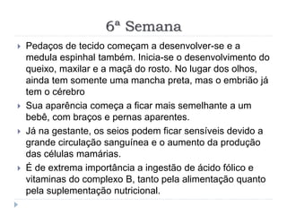 6ª Semana
 Pedaços de tecido começam a desenvolver-se e a
medula espinhal também. Inicia-se o desenvolvimento do
queixo, maxilar e a maçã do rosto. No lugar dos olhos,
ainda tem somente uma mancha preta, mas o embrião já
tem o cérebro
 Sua aparência começa a ficar mais semelhante a um
bebê, com braços e pernas aparentes.
 Já na gestante, os seios podem ficar sensíveis devido a
grande circulação sanguínea e o aumento da produção
das células mamárias.
 É de extrema importância a ingestão de ácido fólico e
vitaminas do complexo B, tanto pela alimentação quanto
pela suplementação nutricional.
 