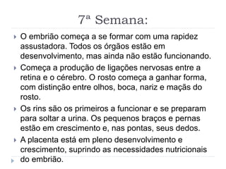 7ª Semana:
 O embrião começa a se formar com uma rapidez
assustadora. Todos os órgãos estão em
desenvolvimento, mas ainda não estão funcionando.
 Começa a produção de ligações nervosas entre a
retina e o cérebro. O rosto começa a ganhar forma,
com distinção entre olhos, boca, nariz e maçãs do
rosto.
 Os rins são os primeiros a funcionar e se preparam
para soltar a urina. Os pequenos braços e pernas
estão em crescimento e, nas pontas, seus dedos.
 A placenta está em pleno desenvolvimento e
crescimento, suprindo as necessidades nutricionais
do embrião.
 