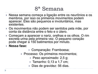 8ª Semana
 Nessa semana começa a ligação entre os neurônios e os
membros, por isso os primeiros movimentos podem
aparecer. Eles são pequenos e involuntários, mas
existentes.
 Os movimentos não podem ser sentidos pela mãe, por
conta da distância entre o feto e o útero.
 Começam a aparecer o nariz, orelhas e os olhos. O rim
excreta urina pela primeira vez. O pequeno coração
pode chegar a 150 batimentos por minuto.
 Nessa fase:
 Comparação: Framboesa;
 Processo: Os primeiros movimentos;
 Peso aproximado: 2,5 g;
 Tamanho: 0,13 a 1,7 cm;
 Dias de gravidez: 56 dias.
 