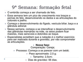 9ª Semana: formação fetal
 O embrião começa a ser chamado de feto.
 Essa semana tem um pico de crescimento nos braços e
pernas do feto, desenvolvendo os dedos e as articulações do
cotovelo e joelho.
 Começa o desenvolvimento do fígado, vesícula biliar, baço e a
glândula adrenal.
 Nessa semana, começa a se intensificar o desenvolvimento
das glândulas mamárias na mãe, os seios podem ficar
maiores, mais sensíveis e doloridos ao toque.
 Especialistas acreditam que a natação é o melhor exercício
para ser realizado durante a gravidez, por não comprometer
as articulações.
 Nessa fase:
Comparação: Cereja;
 Processo: Começa a se parecer com um bebê;
 Peso aproximado: 2,5 g;
 Tamanho: 2,5cm;
 Dias de gravidez: 56 dias.
 