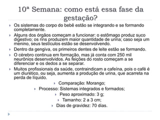 10ª Semana: como está essa fase da
gestação?
 Os sistemas do corpo do bebê estão se integrando e se formando
completamente.
 Alguns dos órgãos começam a funcionar: o estômago produz suco
digestivo; os rins produzem maior quantidade de urina; caso seja um
menino, seus testículos estão se desenvolvendo.
 Dentro da gengiva, os primeiros dentes de leite estão se formando.
 O cérebro continua em formação, mas já conta com 250 mil
neurônios desenvolvidos. As feições do rosto começam a se
diferenciar e os dedos a se separar.
 Muitos profissionais da saúde, contraindicam a cafeína, pois o café é
um diurético, ou seja, aumenta a produção de urina, que acarreta na
perda de líquido.
 Comparação: Morango;
 Processo: Sistemas integrados e formados;
 Peso aproximado: 3 g;
 Tamanho: 2 a 3 cm;
 Dias de gravidez: 70 dias.
 