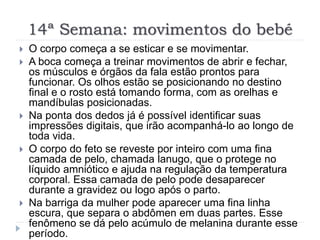 14ª Semana: movimentos do bebé
 O corpo começa a se esticar e se movimentar.
 A boca começa a treinar movimentos de abrir e fechar,
os músculos e órgãos da fala estão prontos para
funcionar. Os olhos estão se posicionando no destino
final e o rosto está tomando forma, com as orelhas e
mandíbulas posicionadas.
 Na ponta dos dedos já é possível identificar suas
impressões digitais, que irão acompanhá-lo ao longo de
toda vida.
 O corpo do feto se reveste por inteiro com uma fina
camada de pelo, chamada lanugo, que o protege no
líquido amniótico e ajuda na regulação da temperatura
corporal. Essa camada de pelo pode desaparecer
durante a gravidez ou logo após o parto.
 Na barriga da mulher pode aparecer uma fina linha
escura, que separa o abdômen em duas partes. Esse
fenômeno se dá pelo acúmulo de melanina durante esse
período.
 