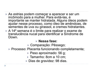  As estrias podem começar a aparecer e ser um
incômodo para a mulher. Para evitá-las, é
importante se manter hidratada. Alguns óleos podem
ajudar nesse processo, como óleo de amêndoas, de
sementes de uva ou girassol, e cremes hidratantes.
 A 14º semana é o limite para realizar o exame de
translucência nucal para identificar a Síndrome de
Down.
 Nessa fase:
 Comparação: Pêssego;
 Processo: Placenta funcionando completamente;
 Peso aproximado: 56 g;
 Tamanho: 8cm a 10 cm;
 Dias de gravidez: 98 dias.
 