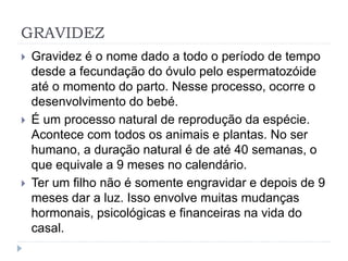 GRAVIDEZ
 Gravidez é o nome dado a todo o período de tempo
desde a fecundação do óvulo pelo espermatozóide
até o momento do parto. Nesse processo, ocorre o
desenvolvimento do bebé.
 É um processo natural de reprodução da espécie.
Acontece com todos os animais e plantas. No ser
humano, a duração natural é de até 40 semanas, o
que equivale a 9 meses no calendário.
 Ter um filho não é somente engravidar e depois de 9
meses dar a luz. Isso envolve muitas mudanças
hormonais, psicológicas e financeiras na vida do
casal.
 