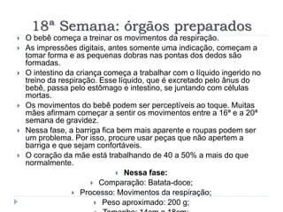 18ª Semana: órgãos preparados
 O bebê começa a treinar os movimentos da respiração.
 As impressões digitais, antes somente uma indicação, começam a
tomar forma e as pequenas dobras nas pontas dos dedos são
formadas.
 O intestino da criança começa a trabalhar com o líquido ingerido no
treino da respiração. Esse líquido, que é excretado pelo ânus do
bebê, passa pelo estômago e intestino, se juntando com células
mortas.
 Os movimentos do bebê podem ser perceptíveis ao toque. Muitas
mães afirmam começar a sentir os movimentos entre a 16ª e a 20ª
semana de gravidez.
 Nessa fase, a barriga fica bem mais aparente e roupas podem ser
um problema. Por isso, procure usar peças que não apertem a
barriga e que sejam confortáveis.
 O coração da mãe está trabalhando de 40 a 50% a mais do que
normalmente.
 Nessa fase:
 Comparação: Batata-doce;
 Processo: Movimentos da respiração;
 Peso aproximado: 200 g;
 