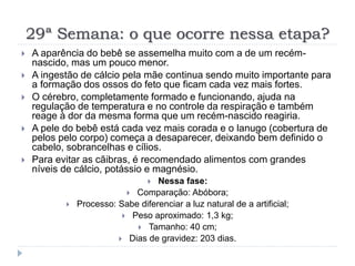 29ª Semana: o que ocorre nessa etapa?
 A aparência do bebê se assemelha muito com a de um recém-
nascido, mas um pouco menor.
 A ingestão de cálcio pela mãe continua sendo muito importante para
a formação dos ossos do feto que ficam cada vez mais fortes.
 O cérebro, completamente formado e funcionando, ajuda na
regulação de temperatura e no controle da respiração e também
reage à dor da mesma forma que um recém-nascido reagiria.
 A pele do bebê está cada vez mais corada e o lanugo (cobertura de
pelos pelo corpo) começa a desaparecer, deixando bem definido o
cabelo, sobrancelhas e cílios.
 Para evitar as cãibras, é recomendado alimentos com grandes
níveis de cálcio, potássio e magnésio.
 Nessa fase:
 Comparação: Abóbora;
 Processo: Sabe diferenciar a luz natural de a artificial;
 Peso aproximado: 1,3 kg;
 Tamanho: 40 cm;
 Dias de gravidez: 203 dias.
 
