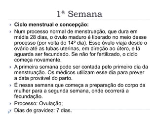 1ª Semana
 Ciclo menstrual e concepção:
 Num processo normal de menstruação, que dura em
média 28 dias, o óvulo maduro é liberado no meio desse
processo (por volta do 14º dia). Esse óvulo viaja desde o
ovário até as tubas uterinas, em direção ao útero, e lá
aguarda ser fecundado. Se não for fertilizado, o ciclo
começa novamente.
 A primeira semana pode ser contada pelo primeiro dia da
menstruação. Os médicos utilizam esse dia para prever
a data provável do parto.
 É nessa semana que começa a preparação do corpo da
mulher para a segunda semana, onde ocorrerá a
fecundação.
 Processo: Ovulação;
 Dias de gravidez: 7 dias.
 