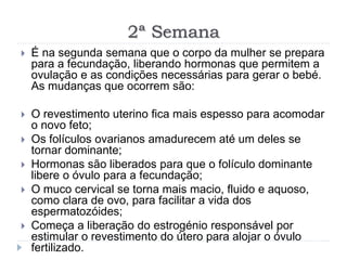 2ª Semana
 É na segunda semana que o corpo da mulher se prepara
para a fecundação, liberando hormonas que permitem a
ovulação e as condições necessárias para gerar o bebé.
As mudanças que ocorrem são:
 O revestimento uterino fica mais espesso para acomodar
o novo feto;
 Os folículos ovarianos amadurecem até um deles se
tornar dominante;
 Hormonas são liberados para que o folículo dominante
libere o óvulo para a fecundação;
 O muco cervical se torna mais macio, fluido e aquoso,
como clara de ovo, para facilitar a vida dos
espermatozóides;
 Começa a liberação do estrogénio responsável por
estimular o revestimento do útero para alojar o óvulo
fertilizado.
 