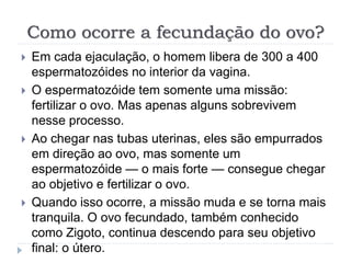 Como ocorre a fecundação do ovo?
 Em cada ejaculação, o homem libera de 300 a 400
espermatozóides no interior da vagina.
 O espermatozóide tem somente uma missão:
fertilizar o ovo. Mas apenas alguns sobrevivem
nesse processo.
 Ao chegar nas tubas uterinas, eles são empurrados
em direção ao ovo, mas somente um
espermatozóide — o mais forte — consegue chegar
ao objetivo e fertilizar o ovo.
 Quando isso ocorre, a missão muda e se torna mais
tranquila. O ovo fecundado, também conhecido
como Zigoto, continua descendo para seu objetivo
final: o útero.
 