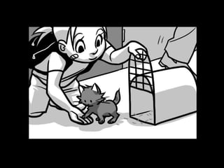 Goldilocks Storyboards