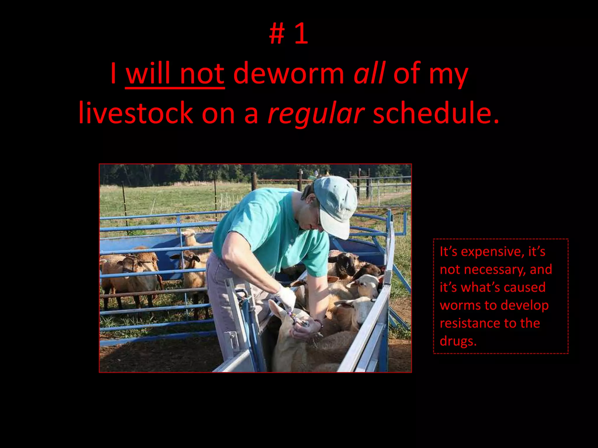 # 1I will not deworm all of my livestock on a regular schedule.It’s expensive, it’s not necessary, and it’s what’s caused worms to develop resistance to the drugs.