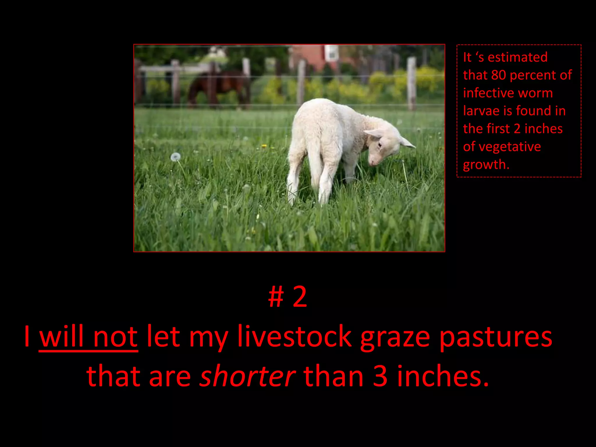 It ‘s estimated that 80 percent of infective worm larvae is found in the first 2 inches of vegetative growth.# 2I will not let my livestock graze pastures that are shorter than 3 inches.