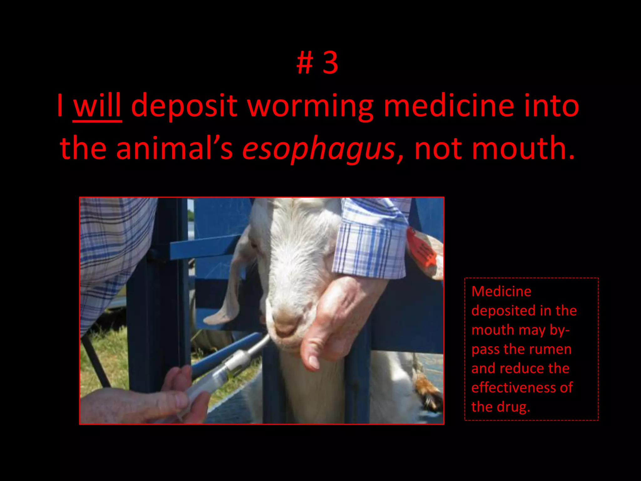 # 3I will administer all dewormers orally.Injectable dewormers select for drug resistance and have longer withdrawal periods.