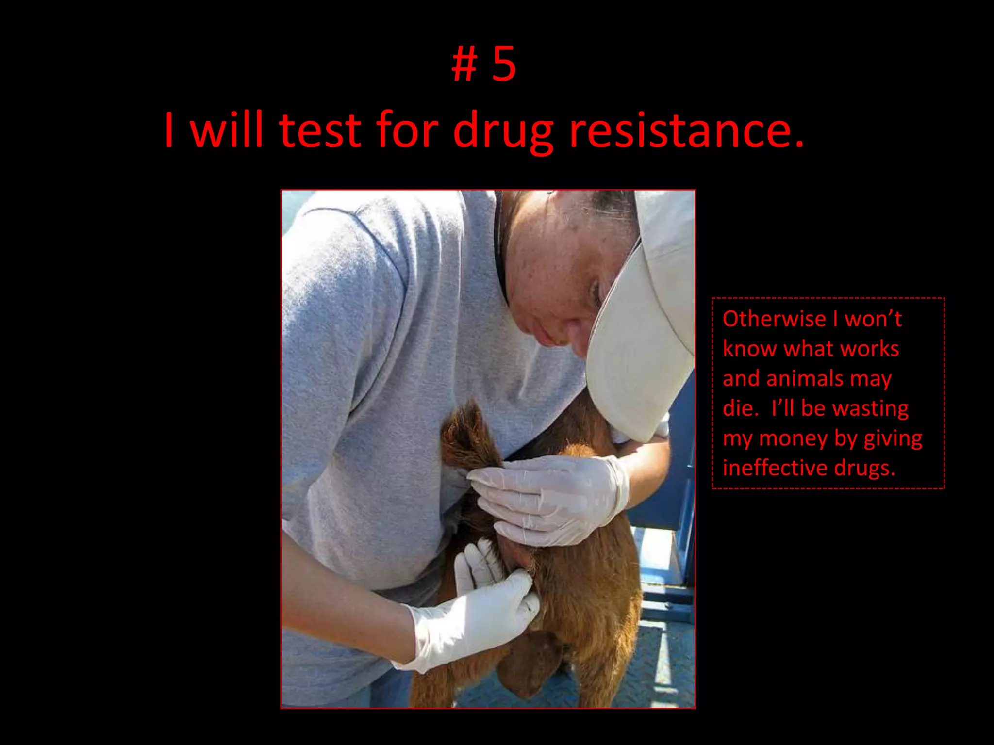 # 5I will test for drug resistance.Otherwise I won’t know what works and animals may die. I’ll be wasting my money by giving ineffective drugs.